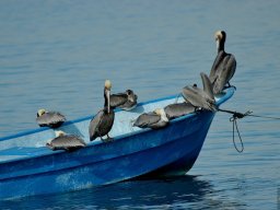 USA_Mexico2006-2007-036